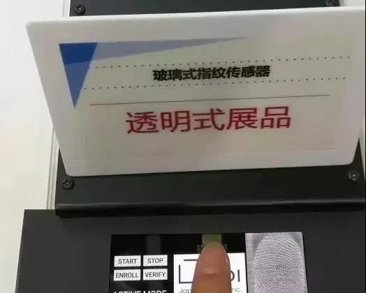 1529582702598539.jpg 13.jpg