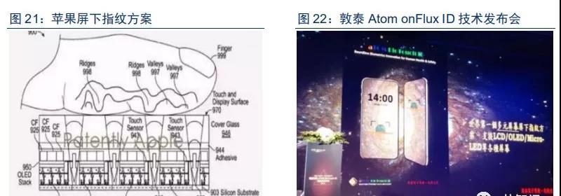 1529582977191077.jpg 16.jpg